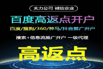 某品牌SEM广告投放的ROI提升案例